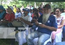 Foto: INTA presenta resultados productivos de arroz en Ometepe/Tn8