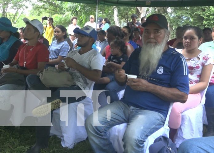 3 Foto: INTA presenta resultados productivos de arroz en Ometepe/Tn8