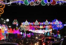 «Llegó la Navidad» Estas son las propuestas de cómo se verá la avenida Bolívar Foto: "Llegó la Navidad" Estas son las propuestas de cómo se verá la avenida Bolívar