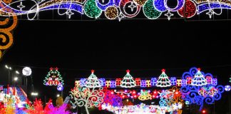 Foto: "Llegó la Navidad" Estas son las propuestas de cómo se verá la avenida Bolívar