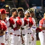 indios, bóer, lbpn, leones, león,