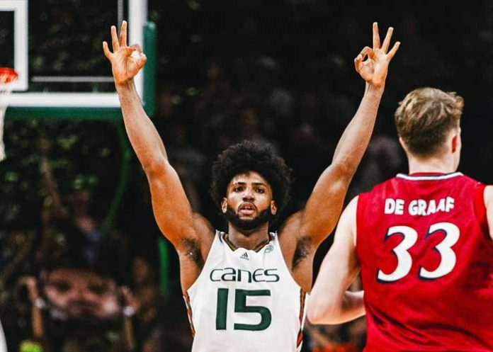 Canes norchad, omier, canes, hoops,