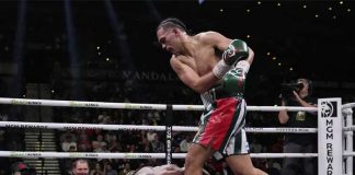 David, benavidez, andrade, boxeo, wbc, cmb