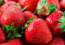 Foto: ¿Qué son los diminutos puntos en la superficie de las fresas?/Cortesía