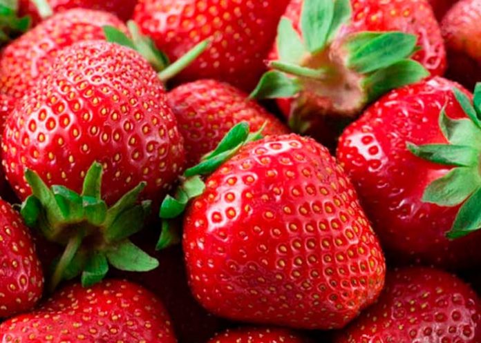 Marca-de-agua-TN8-(2) Foto: ¿Qué son los diminutos puntos en la superficie de las fresas?/Cortesía