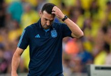 lionel, scaloni, salida, argentina, campeona,