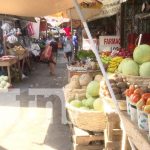 Frijoles, pollo y cebolla, productos que bajaron precios en la canasta básica Foto: Monitoreo de precios de la canasta básica / TN8