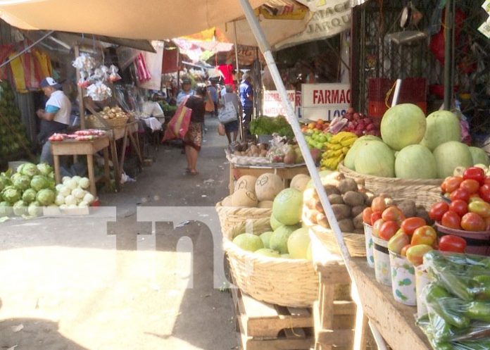 camer-2 Foto: Monitoreo de precios de la canasta básica / TN8