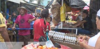 Foto: Evaluación de precios de la canasta básica / TN8