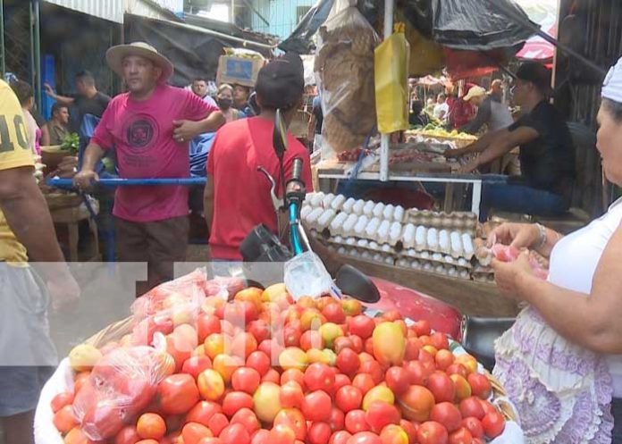 Foto: Evaluación de precios de la canasta básica / TN8