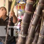 La caña piña no debe faltar en La Gritería de Nicaragua Foto: Caña Piña, de alta demanda en Nicaragua / TN8