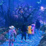 Filtran primeras imágenes de “Agatha: Darkhold Diaries”