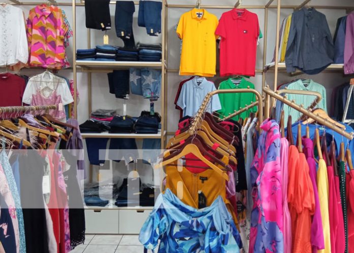 Foto: Emprendimientos de Nicaragua florecen con la cercanía de diciembre / TN8