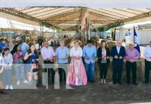 Diciembre al estilo agro: Feria Ganadera Navideña arranca en Managua Foto: Feria Ganadera Navideña en Managua / TN8