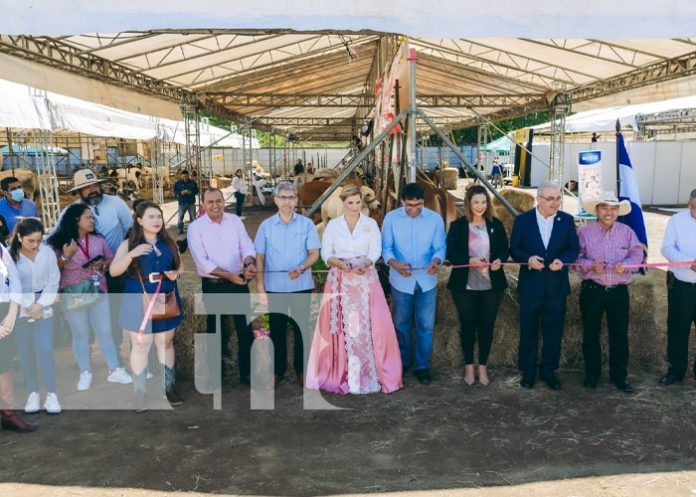 feri-gani-1 Foto: Feria Ganadera Navideña en Managua / TN8