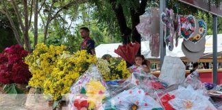 Foto: Flores en auge de comercio en Somoto / TN8