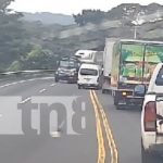 Infraganti: «Animalitos de la creación» grabados con imprudencias en Nicaragua Foto: Imprudencias viales en Nicaragua / TN8