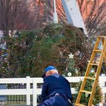 Árbol de navidad se desploma como su presidente Joe Biden