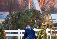Árbol de navidad de la Casa Blanca se cayó ¿Tambalea como el presidente? Árbol de navidad se desploma como su presidente Joe Biden