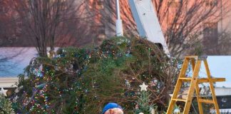 Árbol de navidad se desploma como su presidente Joe Biden