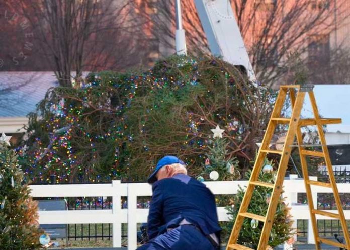 Árbol de navidad se desploma como su presidente Joe Biden