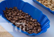 Nicaragua entrega cuarta denominación a Ometepe por su rico café Foto: Congreso sobre marcas donde se dio reconocimiento al café de Ometepe / TN8