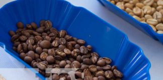Foto: Congreso sobre marcas donde se dio reconocimiento al café de Ometepe / TN8