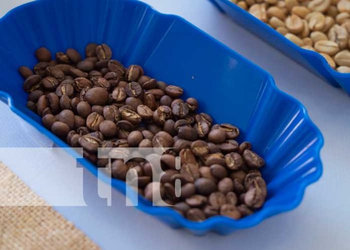 marca-3 Foto: Congreso sobre marcas donde se dio reconocimiento al café de Ometepe / TN8