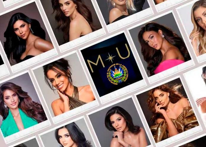 Estas son las tres reinas que encabezan la competencia por la corona de Miss Universo 2023