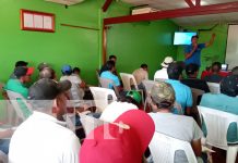 Productores de plátano reciben importante capacitación en Ometepe Foto: Capacitación para productores de plátano en la Isla de Ometepe / TN8
