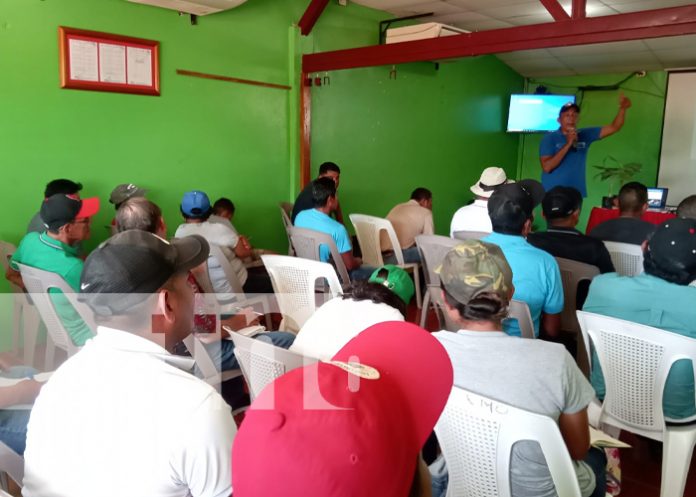 ometep-2 Foto: Capacitación para productores de plátano en la Isla de Ometepe / TN8