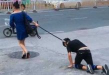¡Jamás visto! Mujer pasea a un hombre encadenado como perro (VIDEO) Mujer paseando a un hombre como si fuera un perro