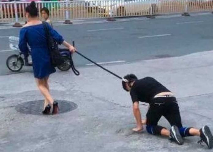 peroo1 Mujer paseando a un hombre como si fuera un perro