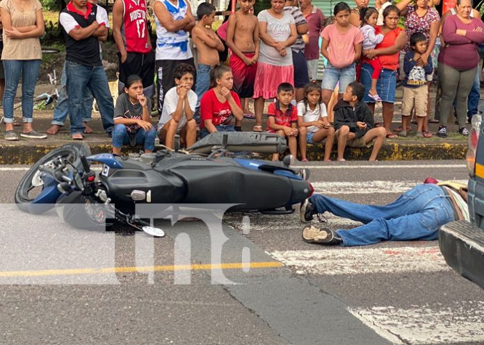perro-mata-3 Foto: Muerte de un motociclista en San Isidro, Matagalpa / TN8