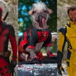 ¡Noticia brutal! Ryan Reynolds confirma que «Deadpool 3» se estrenará en 2024 Ryan Reynolds confirma que "Deadpool 3" se estrenará en 2024