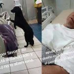 Conmovedor: Hombre desahuciado rogó por la adopción de su querido perrito Desahuciado rogó para que alguien adopte a su perrito
