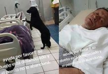 Conmovedor: Hombre desahuciado rogó por la adopción de su querido perrito Desahuciado rogó para que alguien adopte a su perrito