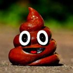 Clase loquera: Comer «caca» es el nuevo reto viral en TikTok Peligroso reto viral de TikTok que por en riesgo a los jóvenes