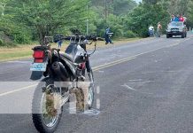 Semoviente en la vía apaga la vida de un adolescente en Somoto Foto: Accidente mortal con un semoviente en Somoto / TN8