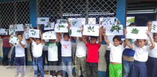 Foto: Educación ambiental en colegios de Ticuantepe / TN8