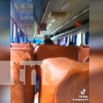 ¿Qué? Buseros de Nicaragua «echan carreras» por audio viral en TikTok (VIDEO) Foto: TikTok viral en Nicaragua expone vida de pasajeros / TN8