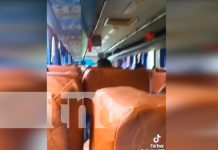 ¿Qué? Buseros de Nicaragua «echan carreras» por audio viral en TikTok (VIDEO) Foto: TikTok viral en Nicaragua expone vida de pasajeros / TN8