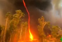 Tornado de fuego fue captado en Australia