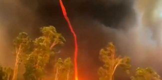 Tornado de fuego fue captado en Australia
