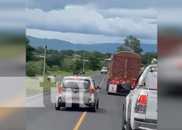 Foto: Conductores realizan malas maniobras por doquier en Nicaragua / TN8