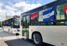 250 unidades de autobuses recorren León, al Occidente de Nicaragua Foto: 250 nuevos buses recorren la ciudad de León / TN8