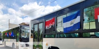 Foto: 250 nuevos buses recorren la ciudad de León / TN8