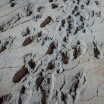 Foto: Huellas de Acahualinca en Nicaragua