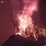 Sobrino golpea y le prende fuego a su tía en Rumania