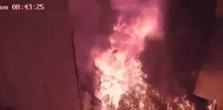 Sobrino golpea y le prende fuego a su tía en Rumania
